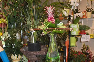 Fleurs Gacéennes — photo 8