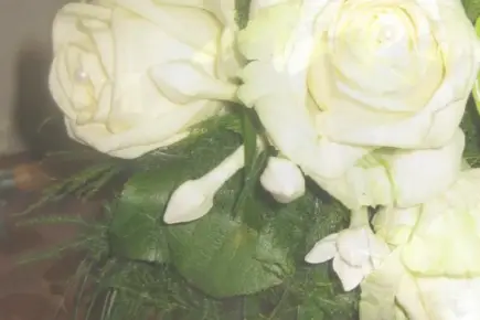 Fleurs Gacéennes — photo 1