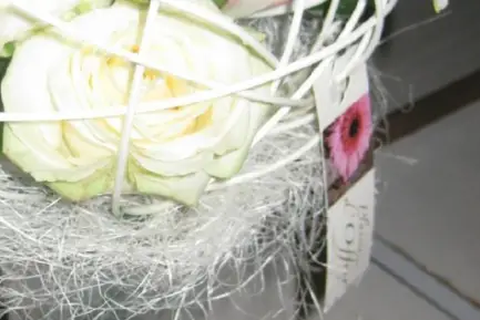 Fleurs Gacéennes — photo 2