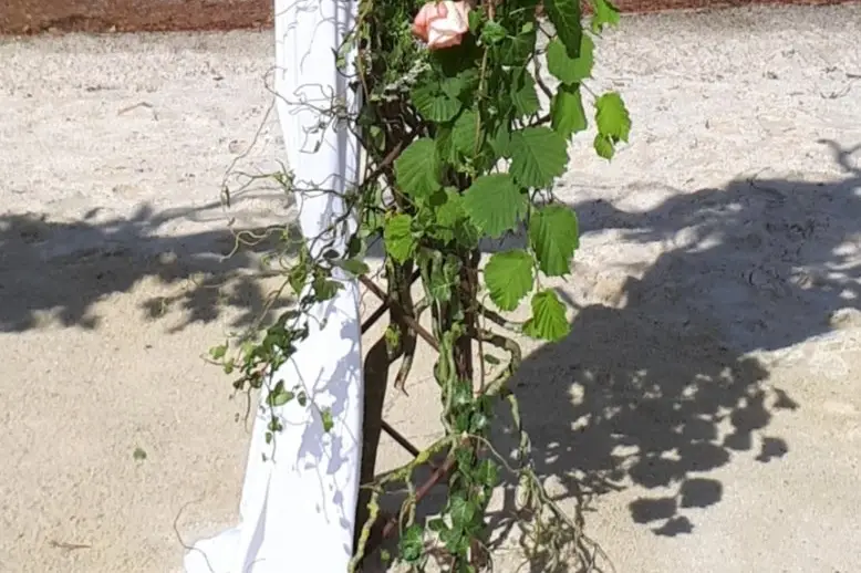 Natur'elle — photo 4