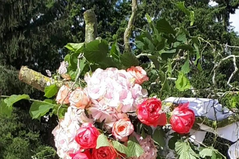 Natur'elle — photo 5