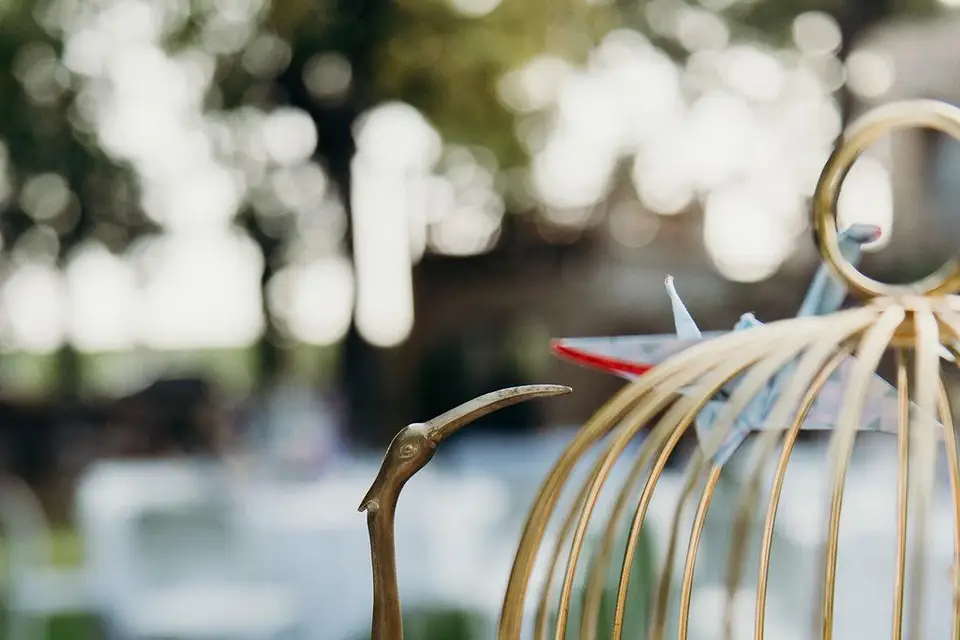 Couturière de la fleur — photo 3