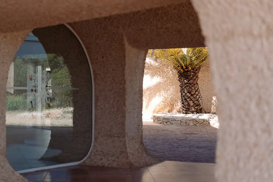 Domaine de l'Octopus — photo 6