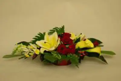 Au Jardin d'Alicante — photo 3