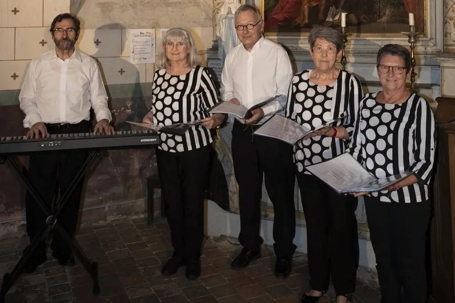 Pier Organisation Ozarp