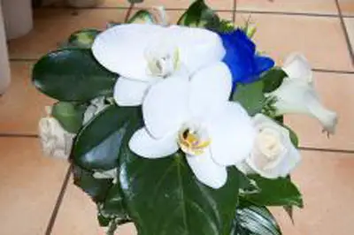 Au Jardin d'Alicante — photo 4