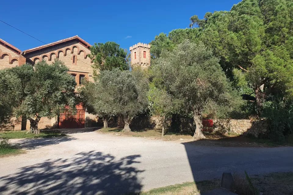 Domaine du Mas d'Avallrich — photo 2