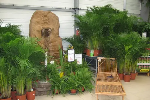 Jardinimo — photo 5