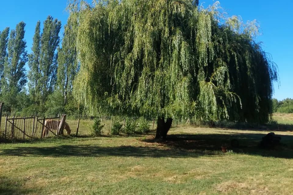 Ô Pré du Canal — photo 7