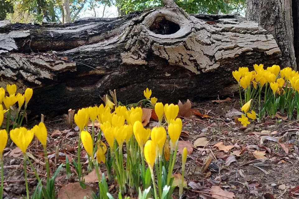 Ô Pré du Canal — photo 8