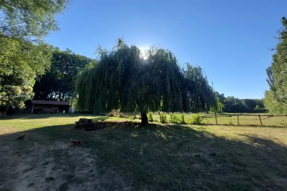 Ô Pré du Canal — photo 3