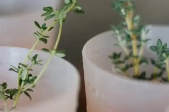 L'Archipel Cocktail Bar — photo 7