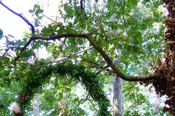 Fleurs&Déco — photo 8