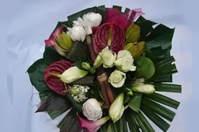 Au Petit Jardinier — photo 7