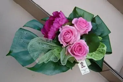 Au Petit Jardinier — photo 1