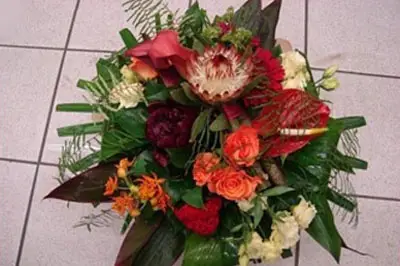 Au Petit Jardinier — photo 8