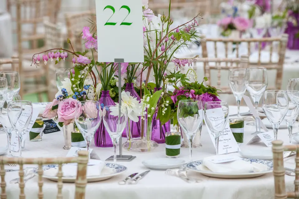 Catherine Joyaux Corselli — photo 3