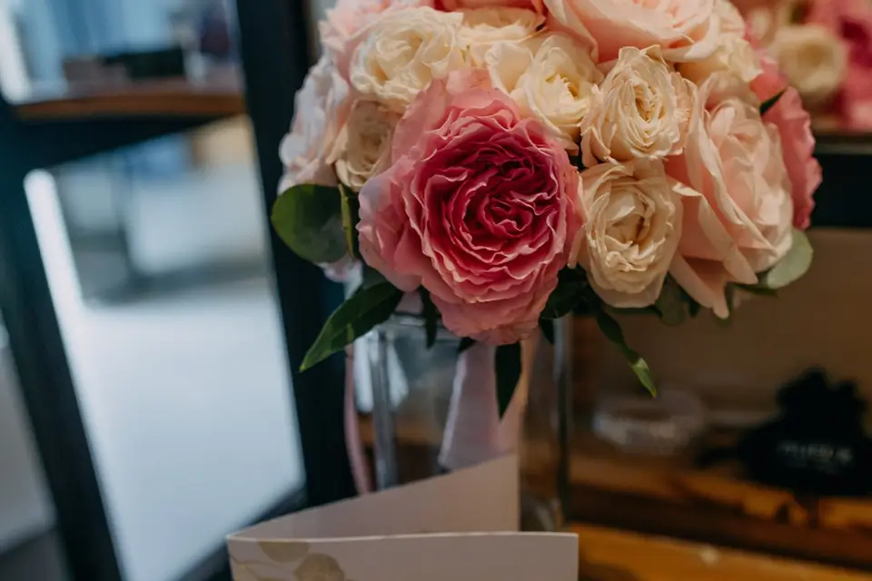 Vert Anis — photo 9