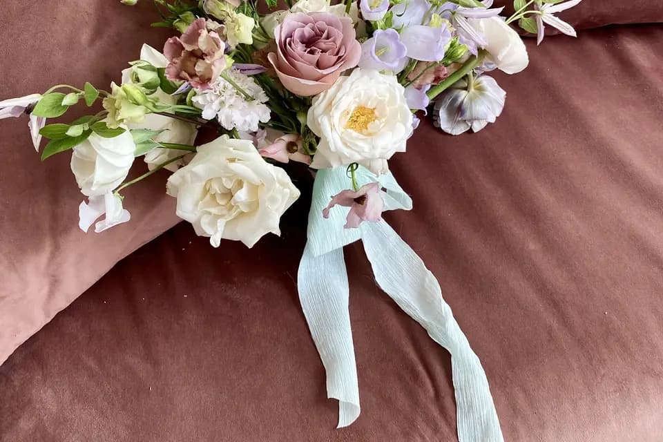 Vert Anis — photo 3