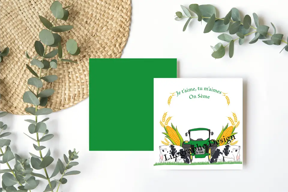 Lilographe Design — photo 4