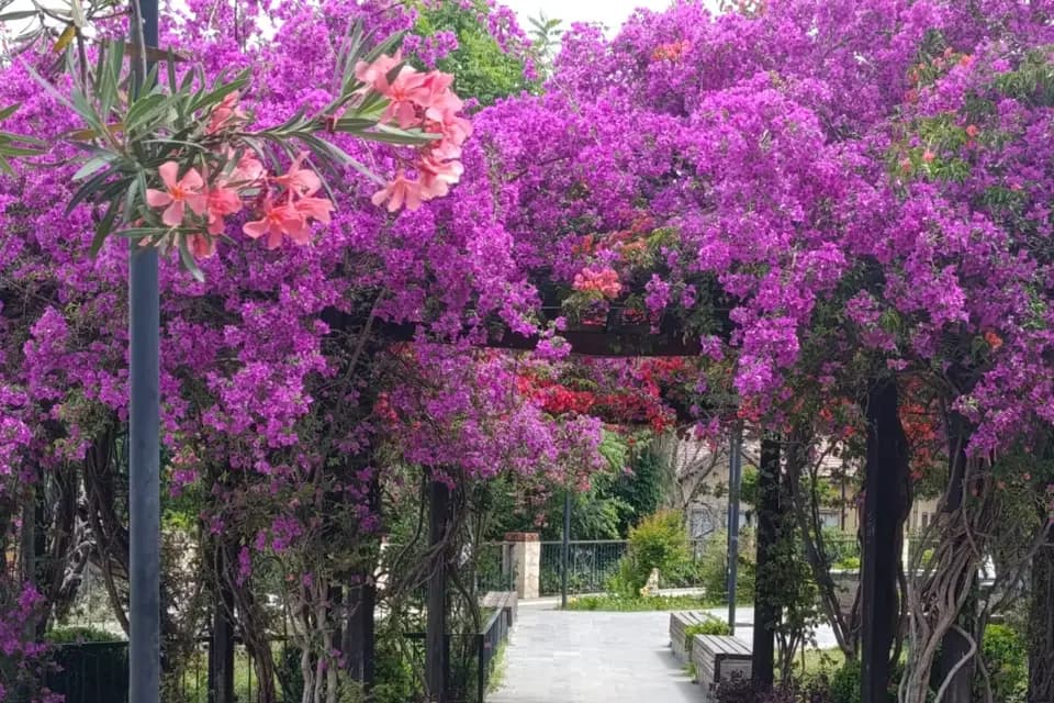 Vene'zen — photo 1