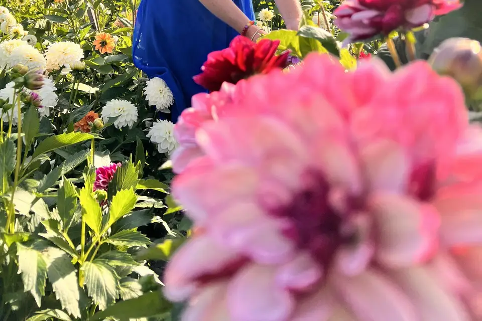 Les Fleurs d'Emilie — photo 2