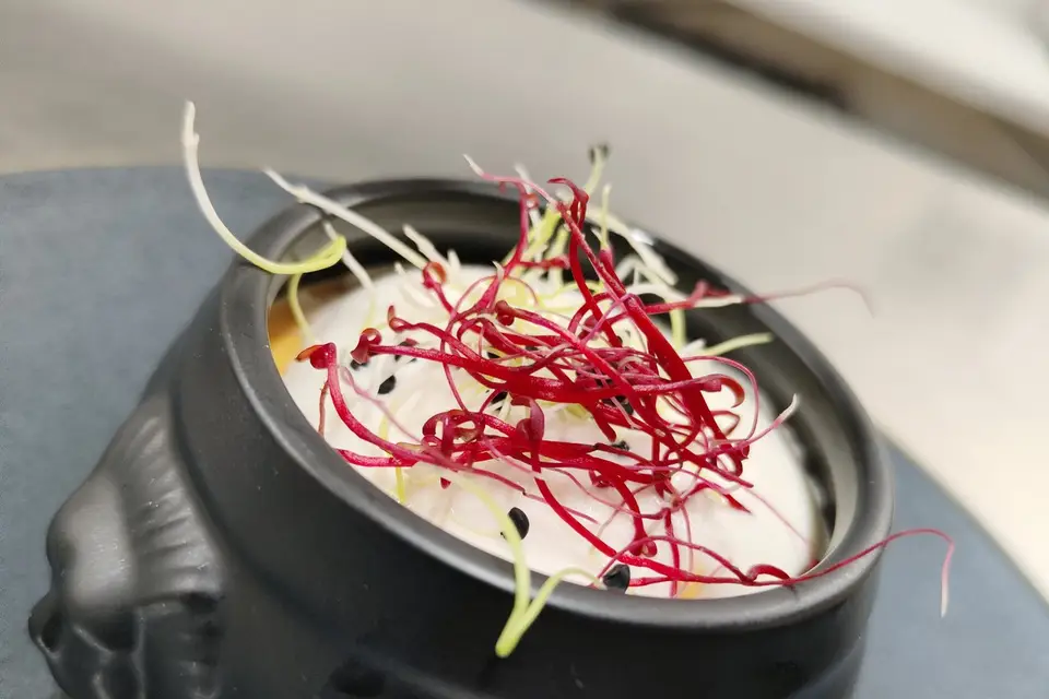 Yannick Dubois — photo 1