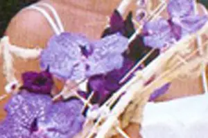 Méléder Fleurs — photo 6