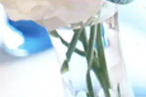 Méléder Fleurs — photo 1