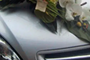 Méléder Fleurs — photo 3