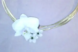 Méléder Fleurs — photo 7