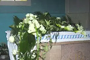 Méléder Fleurs — photo 4