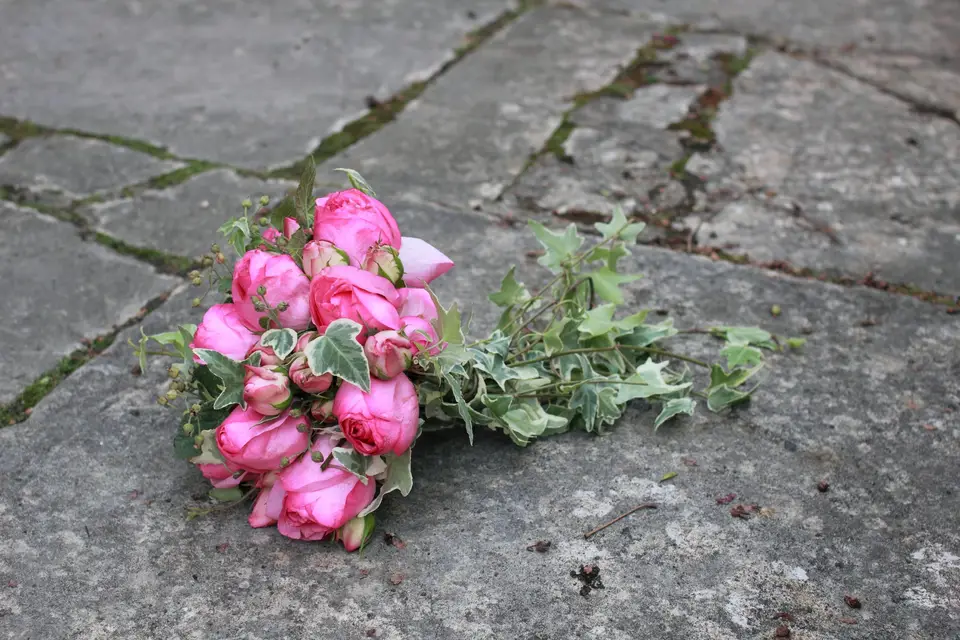 Althéa Photographie — photo 3