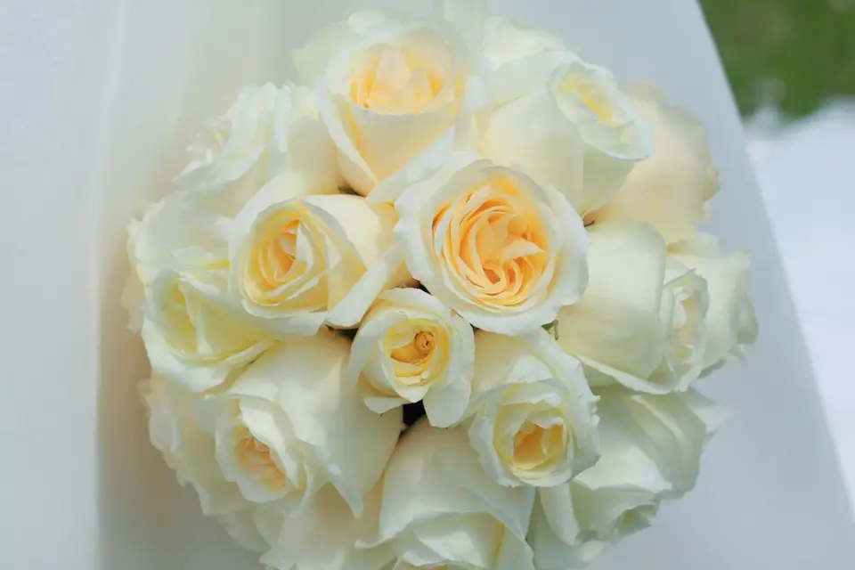 Althéa Photographie — photo 5