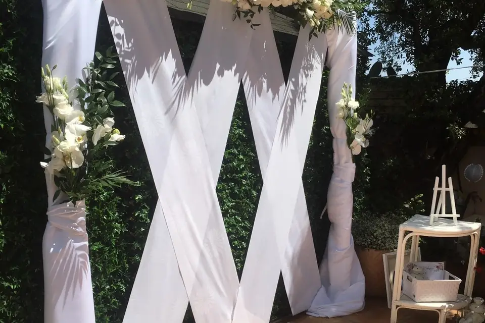 Lupi's Wedding — photo 2