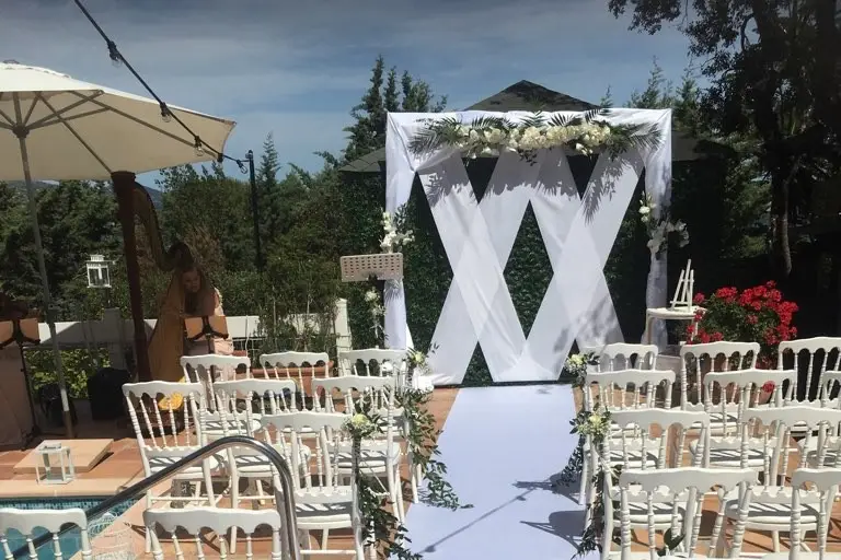 Lupi's Wedding — photo 5