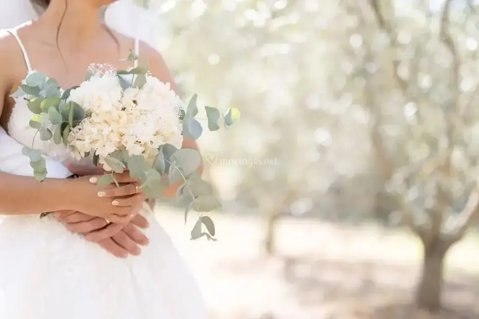 Stephy Event — photo 1