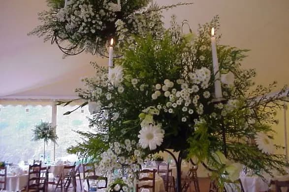 Christian Mentgen — photo 8