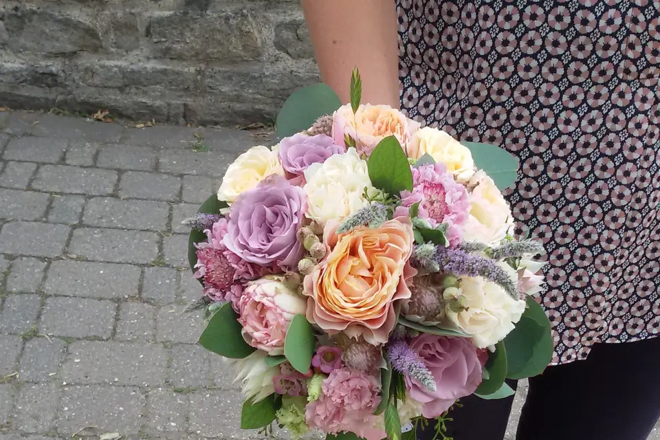 La Graine et l'Arrosoir — photo 3