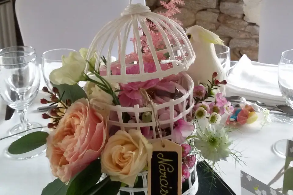 La Graine et l'Arrosoir — photo 5