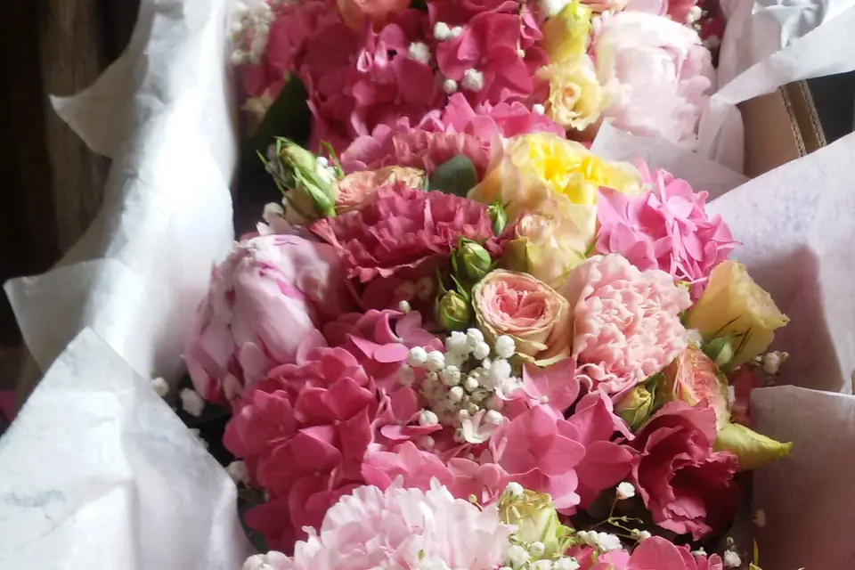 La Graine et l'Arrosoir — photo 7