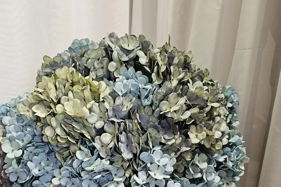 Event By Maryline — photo 3