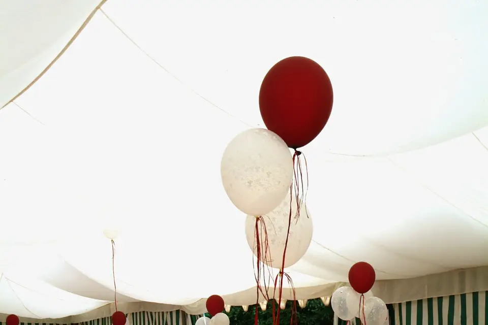 Artistes à l'affiche