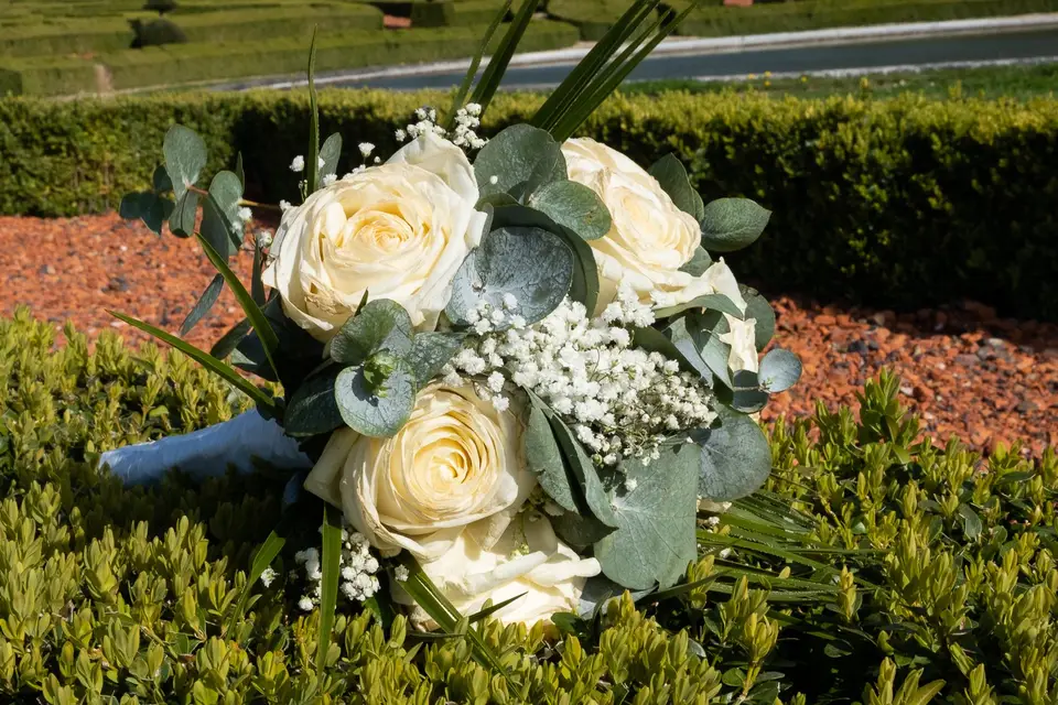 Léa Corazza — photo 6