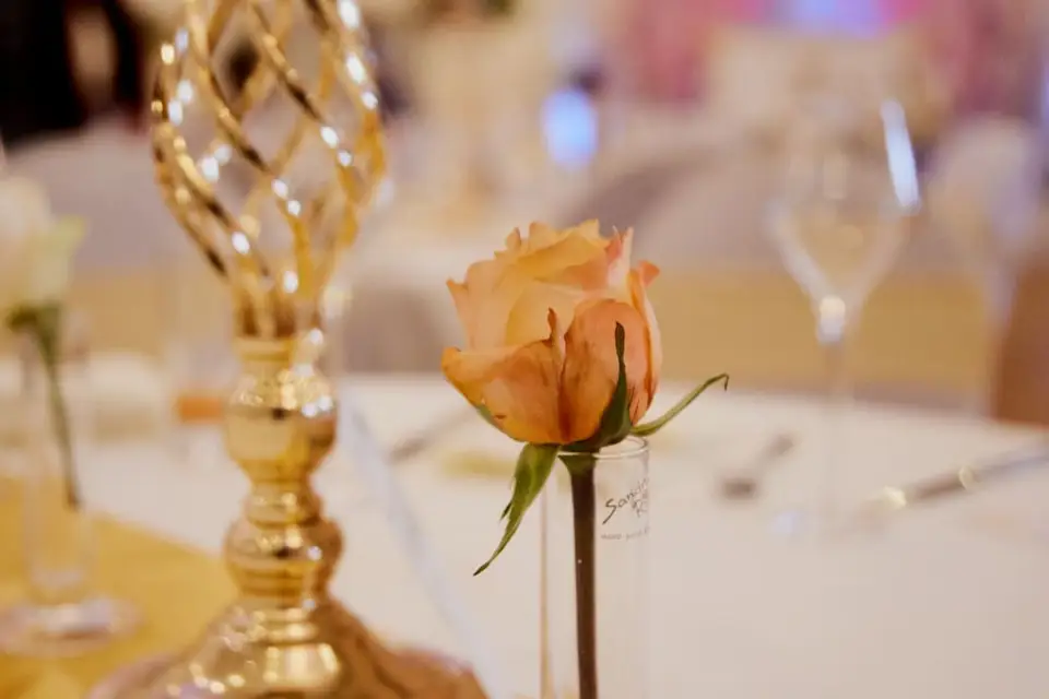 Judevents — photo 5