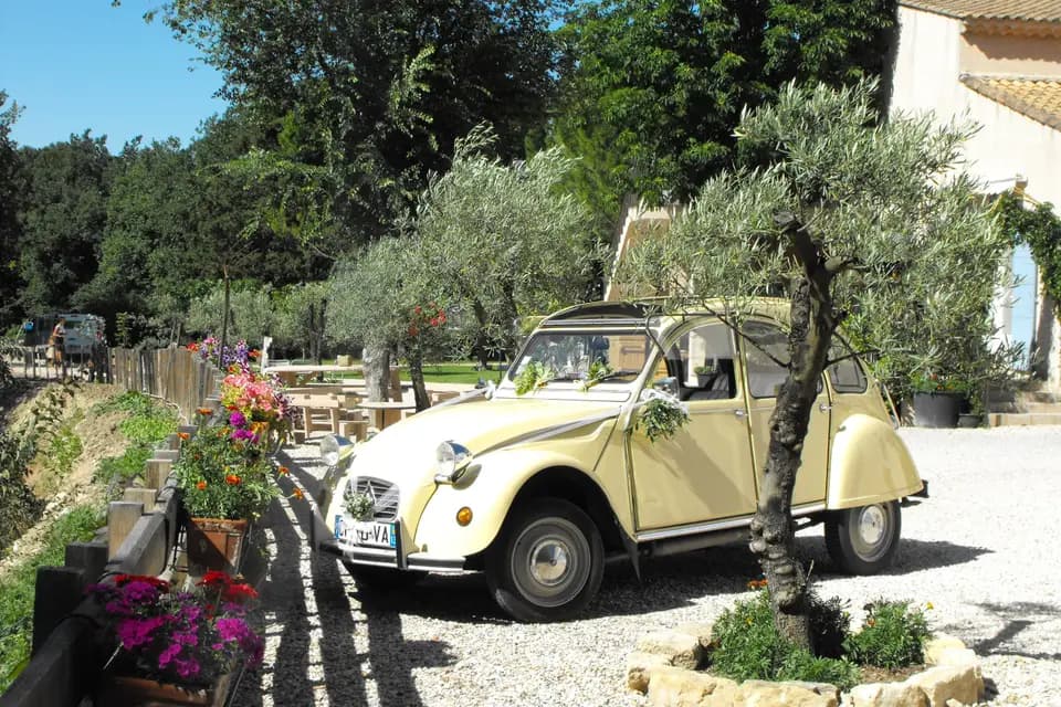 Domaine de la Cride — photo 6