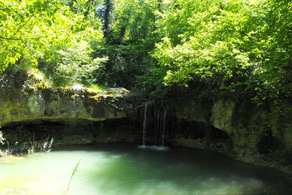 Domaine de la Cride — photo 8