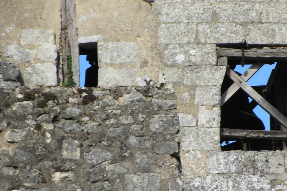 Di-video — photo 4