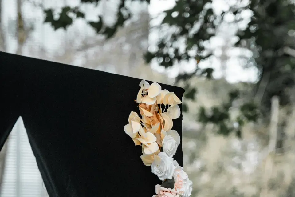 Janelle Menut — photo 6