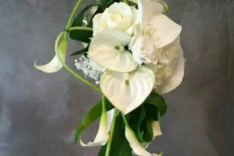 Orkideenn — photo 7